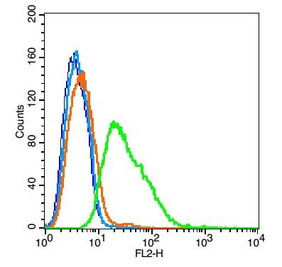 Anti-BTN2A1 Polyclonal Antibody