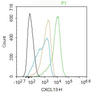 Anti-CXCL13/BCA-1 Polyclonal Antibody