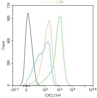 Anti-CXCL13/BCA-1 Polyclonal Antibody 2