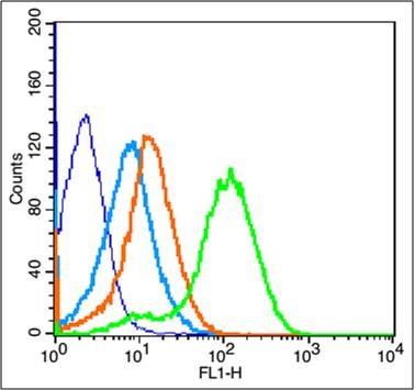 Anti-Fas Ligand Polyclonal Antibody