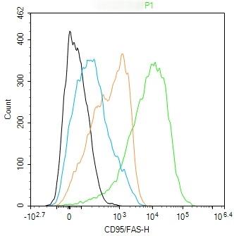 Anti-Fas/CD95 Polyclonal Antibody