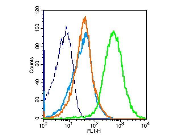 Anti-Fas Ligand Polyclonal Antibody