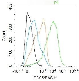 Anti-Fas/CD95 Polyclonal Antibody 2