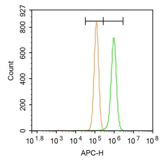 Anti-Ferritin heavy chain 1/FTH1 Polyclonal Antibody