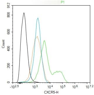 Anti-CXCR5 Antibody (3I647)
