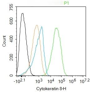 Anti-Cytokeratin 8 Antibody (5G219)