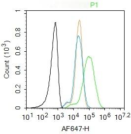Anti-CXCL10 Polyclonal Antibody
