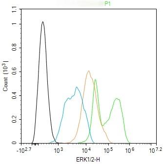Anti-ERK1/2 Antibody (6Q27)