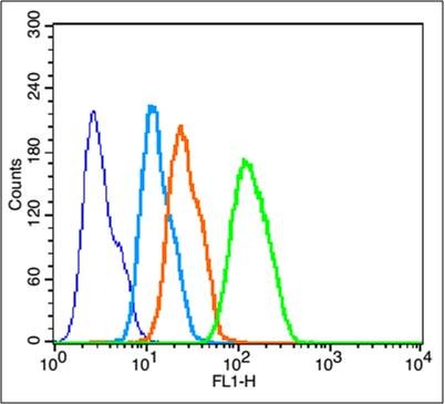 Anti-CYCS Polyclonal Antibody