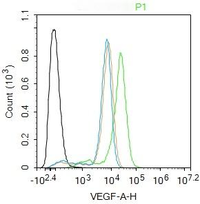 Anti-VEGFA Polyclonal Antibody 6
