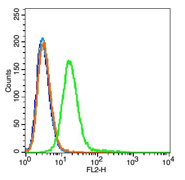 Anti-CD68 Polyclonal Antibody 3