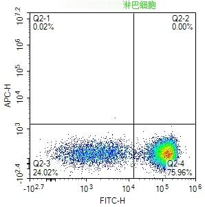 Anti-CD3 epsilon/CD3e Antibody (9X587)