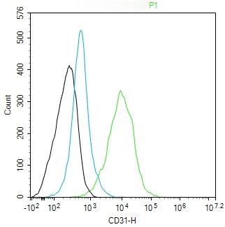Anti-CD31 Antibody (2K688)