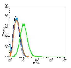 Anti-CD9 Polyclonal Antibody