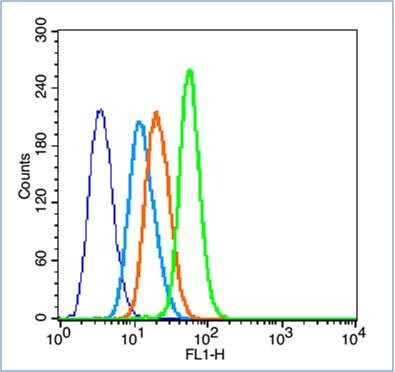 Anti-CD4 Polyclonal Antibody