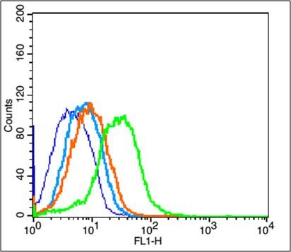 Anti-CD44 Polyclonal Antibody 3