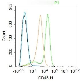 Anti-CD45 Polyclonal Antibody 2
