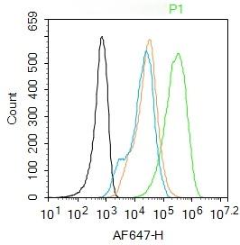 Anti-CCR2/CD192 Polyclonal Antibody 2