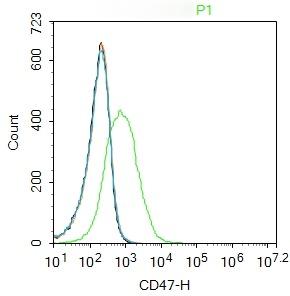 Anti-CD47 Polyclonal Antibody