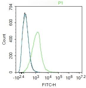 Anti-CD47 Polyclonal Antibody