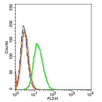 Anti-CD45 Polyclonal Antibody 2
