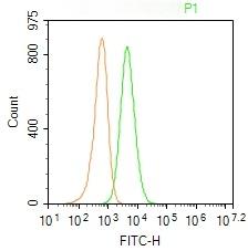Anti-CD45 Polyclonal Antibody 2