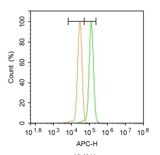 Anti-GADD45A Polyclonal Antibody