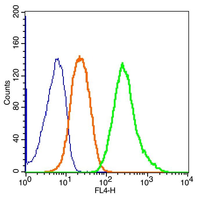 Anti-ganglioside GM1 Polyclonal Antibody
