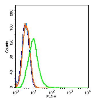Anti-CD19 Polyclonal Antibody