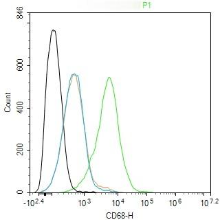 Anti-CD68 Antibody (2P747)