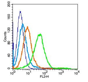 Anti-CD9 Polyclonal Antibody