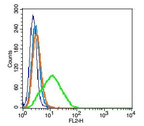 Anti-CD9 Polyclonal Antibody