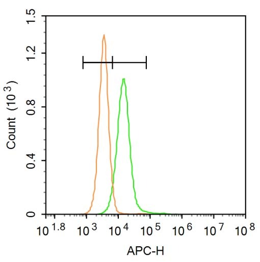 Anti-FZD7 Polyclonal Antibody