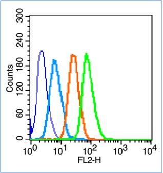 Anti-CD133/PROM1 Polyclonal Antibody