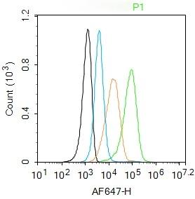 Anti-CD41 Polyclonal Antibody