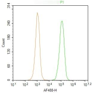 Anti-CD45 Antibody (3Y331)