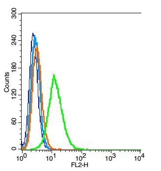 Anti-CD47 Polyclonal Antibody