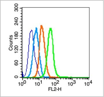 Anti-CCR2/CD192 Polyclonal Antibody