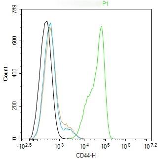 Anti-CD44 Antibody (4R653)