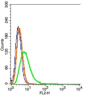 Anti-GHR/Growth Hormone R Polyclonal Antibody