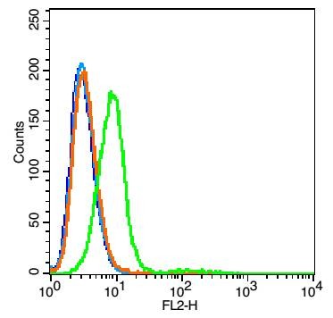 Anti-Integrin alpha 1 Polyclonal Antibody