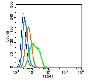 Anti-Integrin alpha 1 Polyclonal Antibody