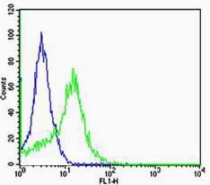 Anti-Integrin  alpha 5  beta 5 Polyclonal Antibody