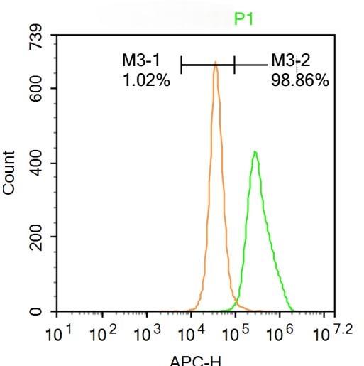 Anti-GADD45B Polyclonal Antibody