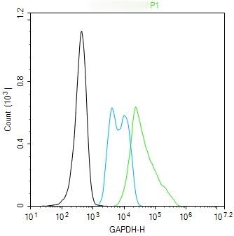 GAPDH Loading Control Antibody (1K734)
