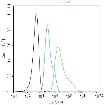 GAPDH Loading Control Antibody (1K734)