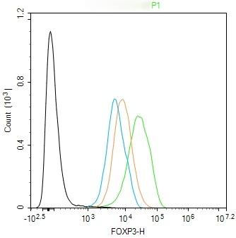 Anti-FOXP3 Antibody (7Z785)