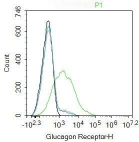 Anti-GCGR Polyclonal Antibody