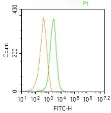 Anti-FUT4 Polyclonal Antibody
