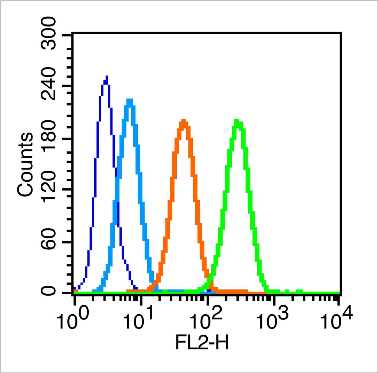 Anti-FSHR Polyclonal Antibody 2